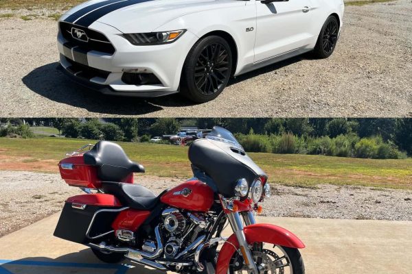 Mustang and Harley Davidson